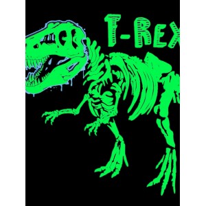 Popshion-Pijama de manga larga para niños, diseño de dinosaurio de dibujos animados fluorescentes de Halloween, 2 unidades