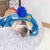 suéter de terciopelo de visón vestido de Navidad vestido de pijama de cachorro de mascota