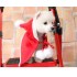 El año navideño, el gato de peluche y el perro de lana roja con capa de capucha.