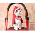 El año navideño, el gato de peluche y el perro de lana roja con capa de capucha.